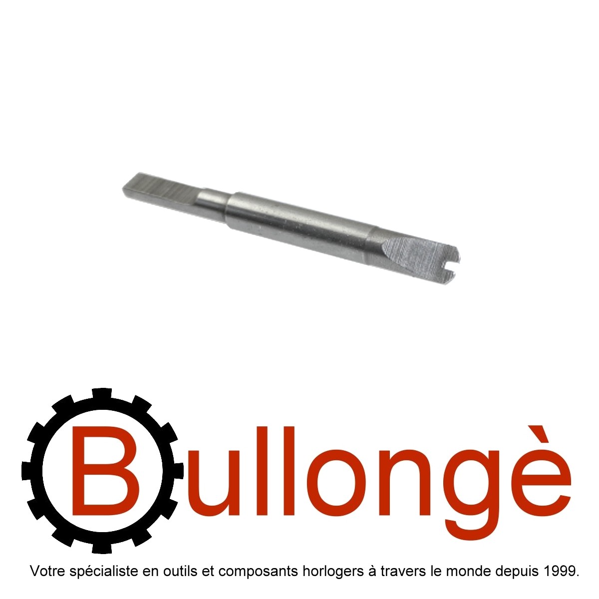 Hublot best sale replacement screws