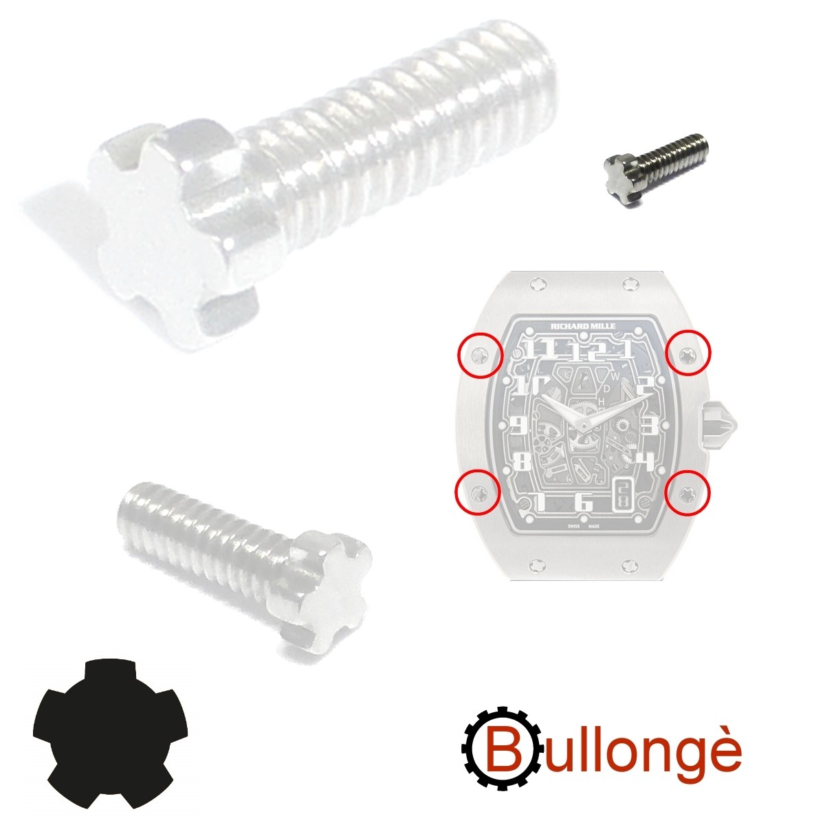 richard mille screws