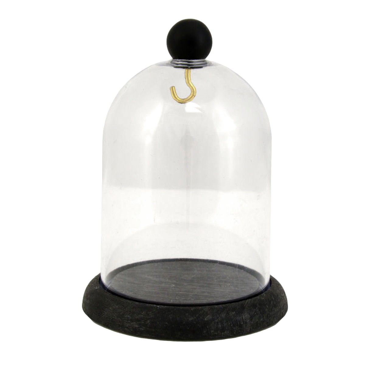 Glass dome pocket watch display case hot sale