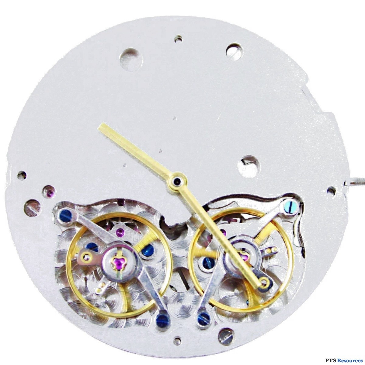 Pts automatic on sale movement