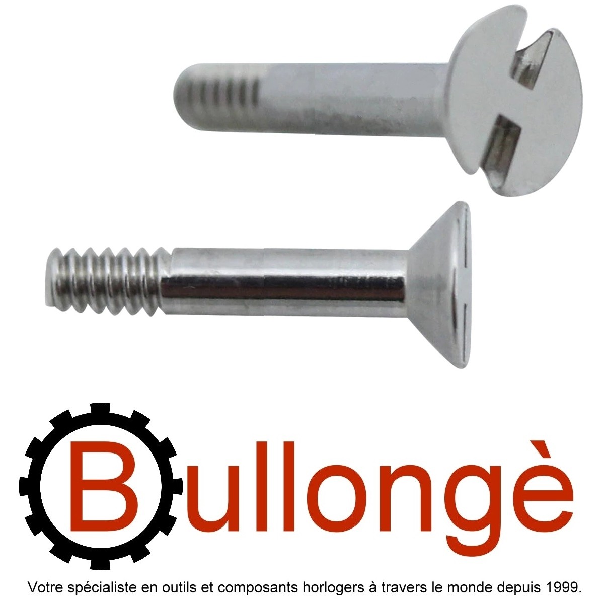 Hublot screws sale