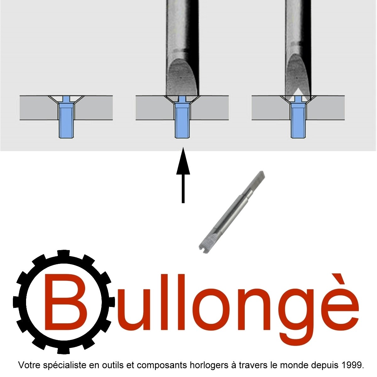 Hublot replacement screws top