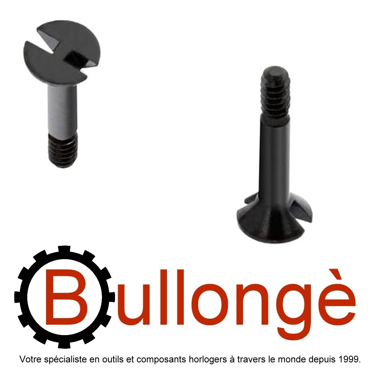 Hublot screws top