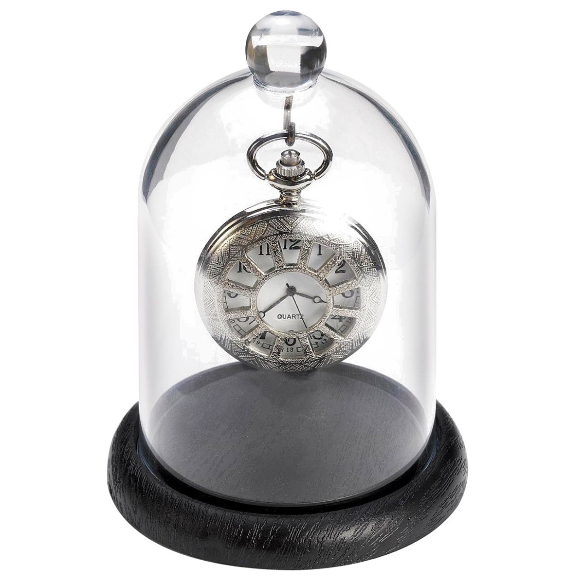 Pocket watch dome new arrivals display case