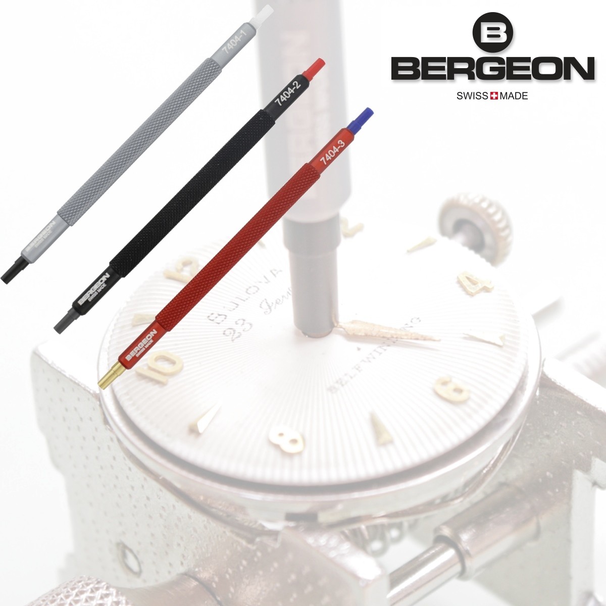 Bergeon montre 2025