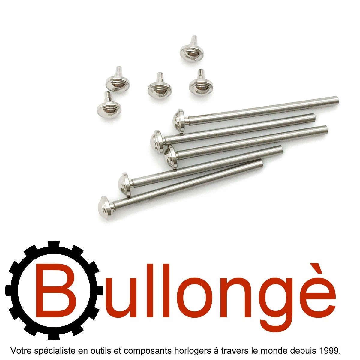 BULLONGE MBS2 watch band lug pins 20 28mm steel Various pins T bars and other pins for watch straps