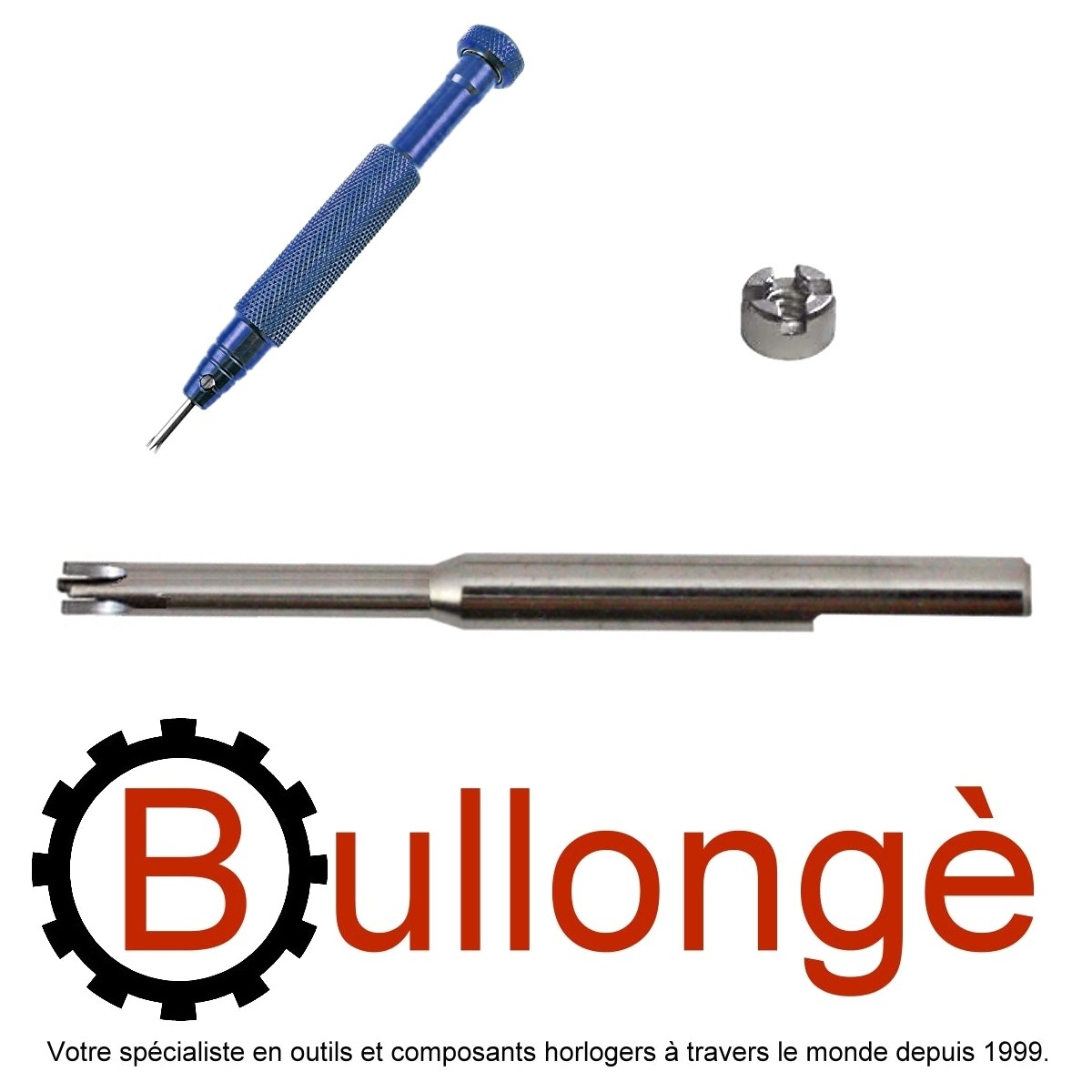 Audemars piguet screwdriver outlet