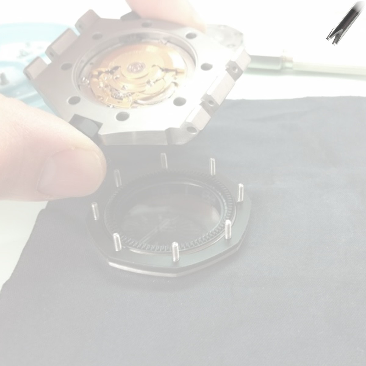 Audemars 2025 piguet screwdriver