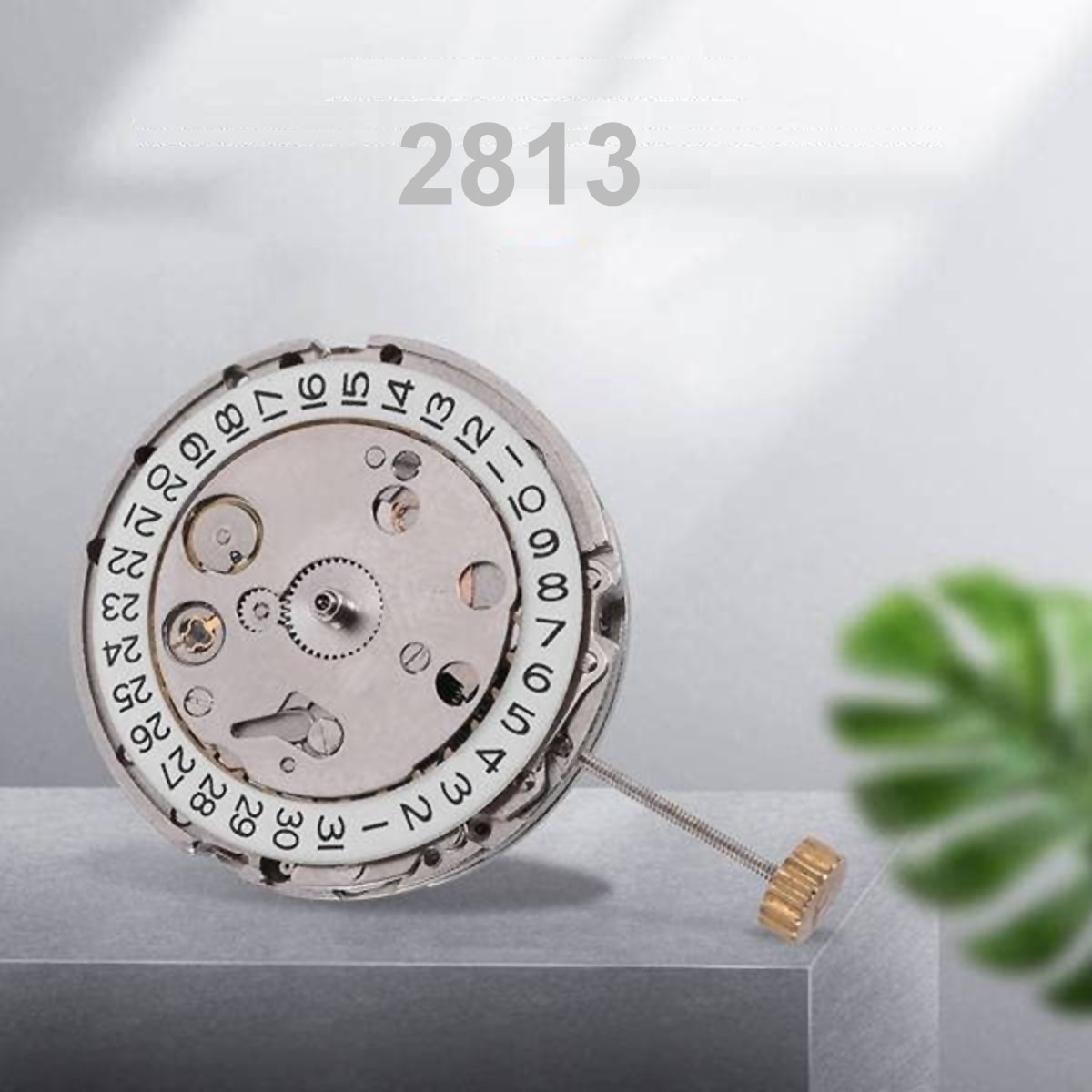 2813 movement hot sale