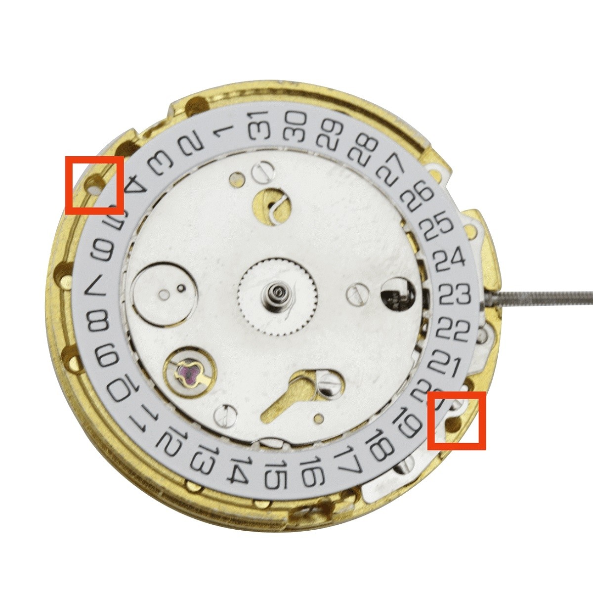 Automatic watch movement with 3 hands DG4813 - best deals watch