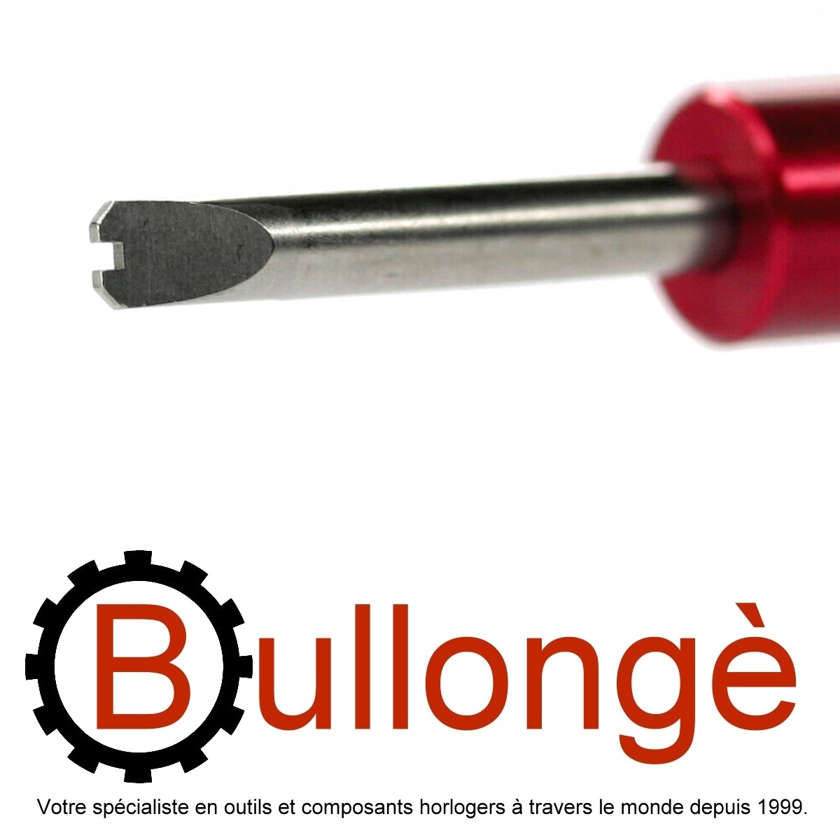 Hublot screwdriver clearance