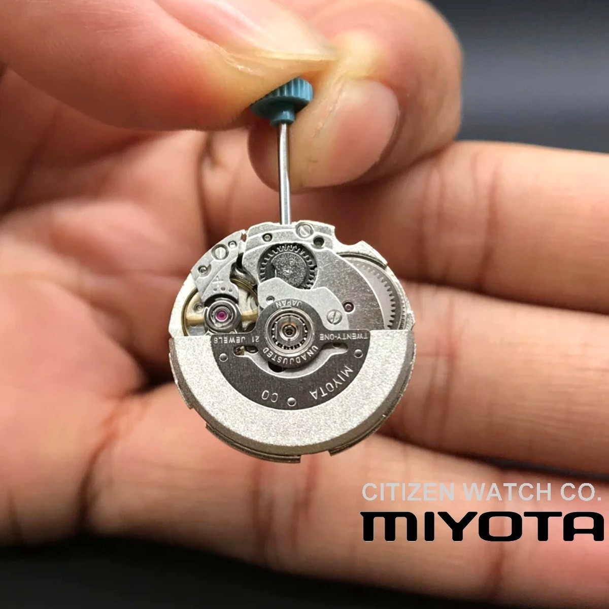 Miyota 6t51 store