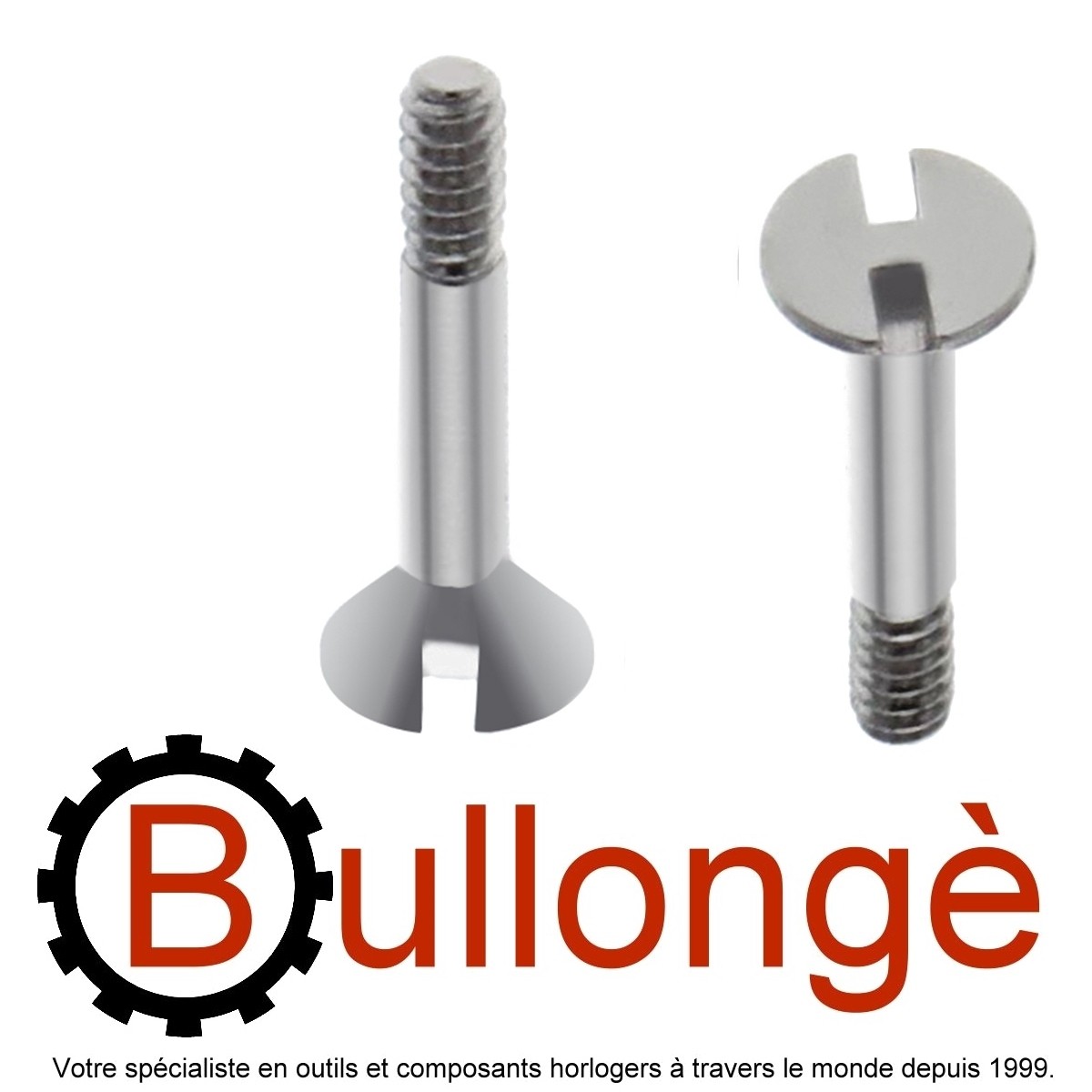 Exclusive screws for watch case and case backs incl. H Screws for Hublot Spare parts for watches