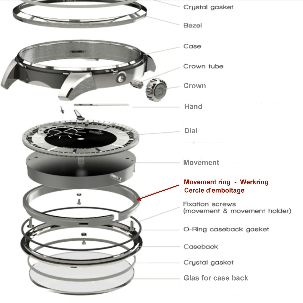Watch movement ring cheap