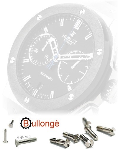 Hublot 2025 watch screws
