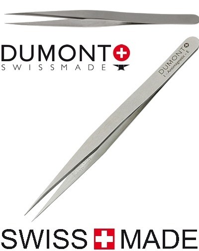 Tswiss madet top