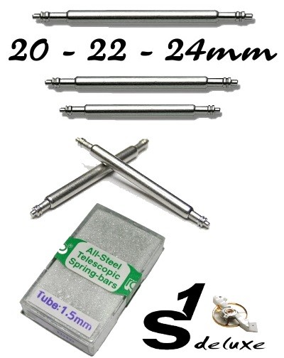 Assortment of 100 spring bars 20, 22 and 24mm